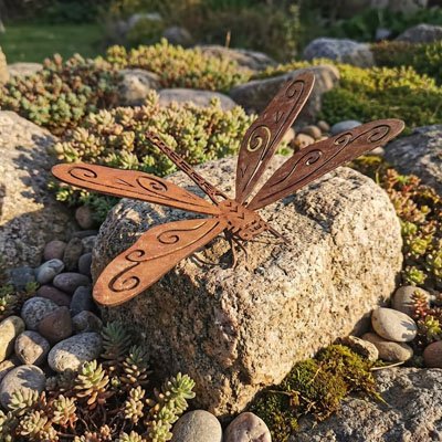 Décoration jardin libellule soleil couchant