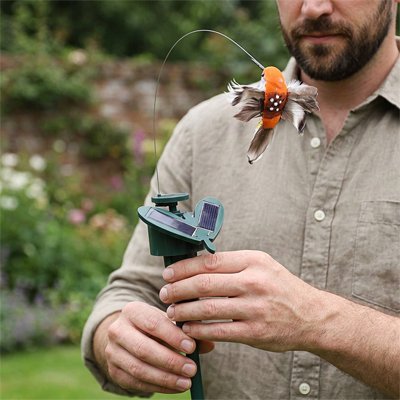 Décoration extérieur jardin colibri homme