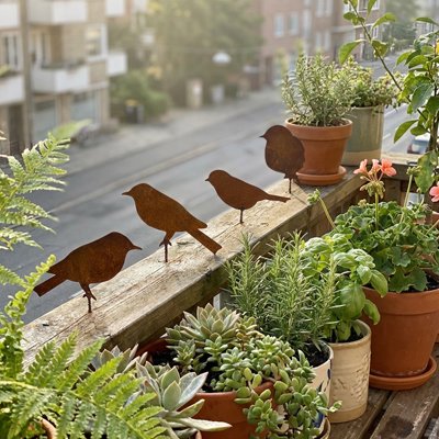 Décoration jardin oiseaux sur balcon