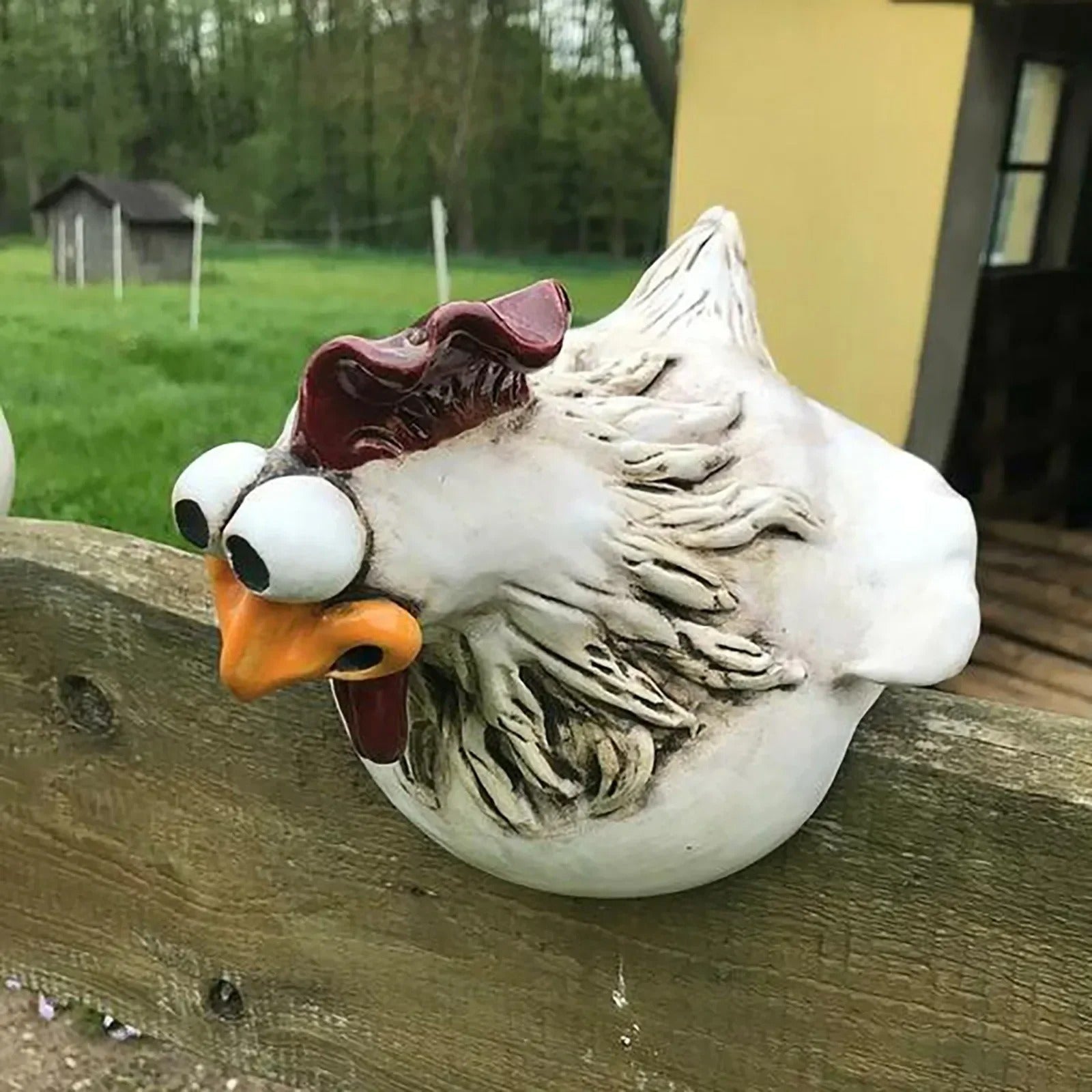décoration jardin poule regard biais