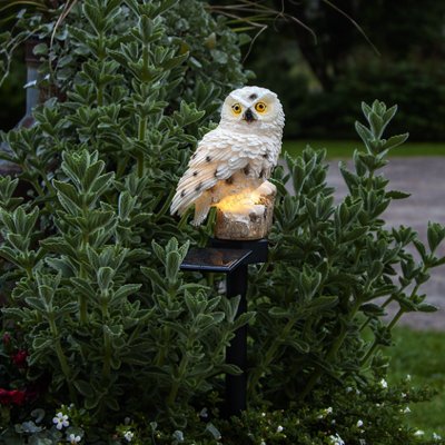 Lampe solaire extérieur hibou blanc buisson