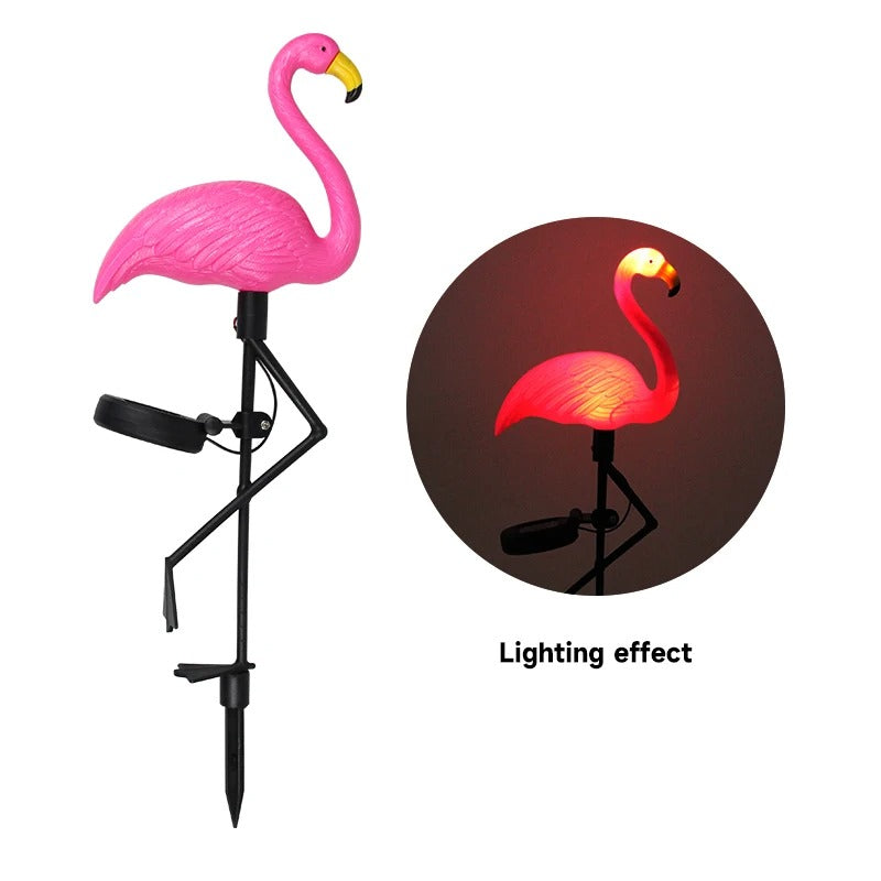 lumiere exterieur flamand rose seul