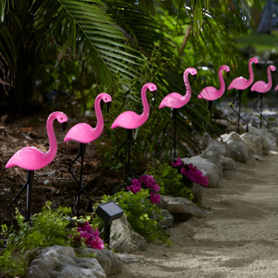 Lumiere exterieur flamand rose allée