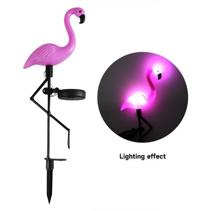 lumiere exterieur flamand rose mauve seul