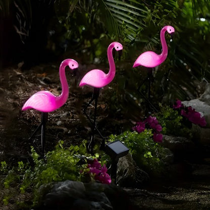 Lumiere exterieur-flamand rose tois